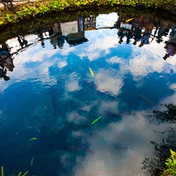 dailyPhoto20